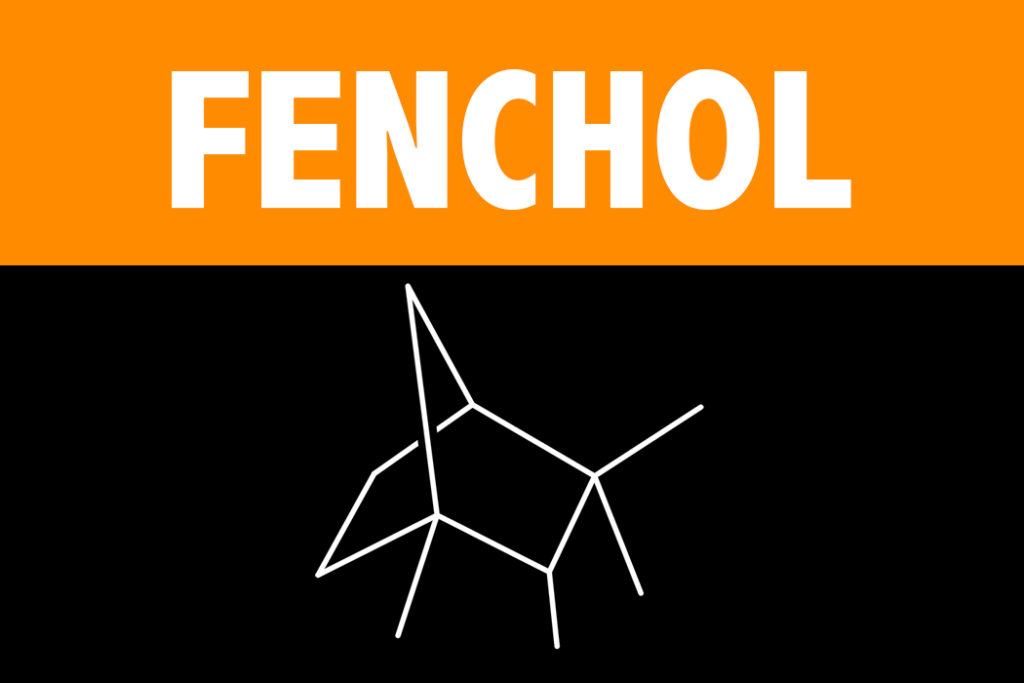 Fenchol Terpene Learn About the Effects and Science behind the Fenchol Terpene from Vesta CBD