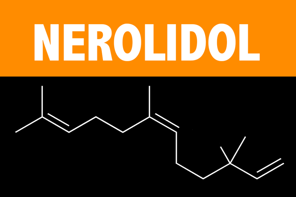 Nerolidol Terpene Learn About the Effects and Science behind the Nerolidol Terpene from Vesta CBD