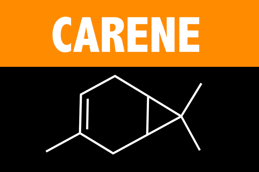 Carene Terpene Learn About the Effects and Science behind the Carene Terpene from Vesta CBD